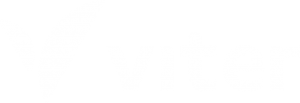 viter-logo-01